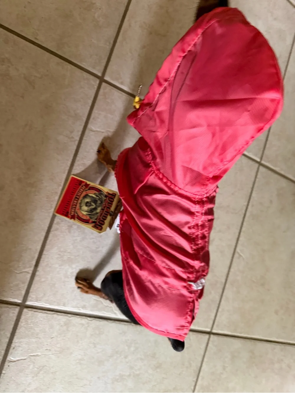Coral Waterproof Dog Raincoat with Hood